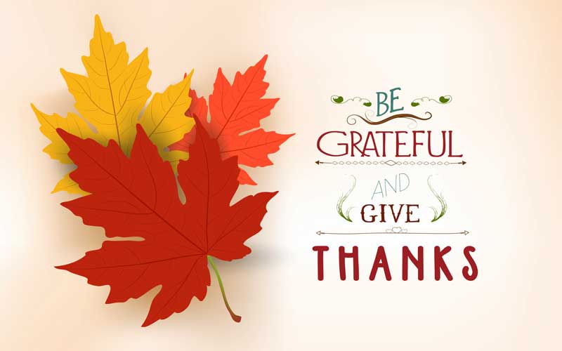 Leaves and words, be grateful and give thanks