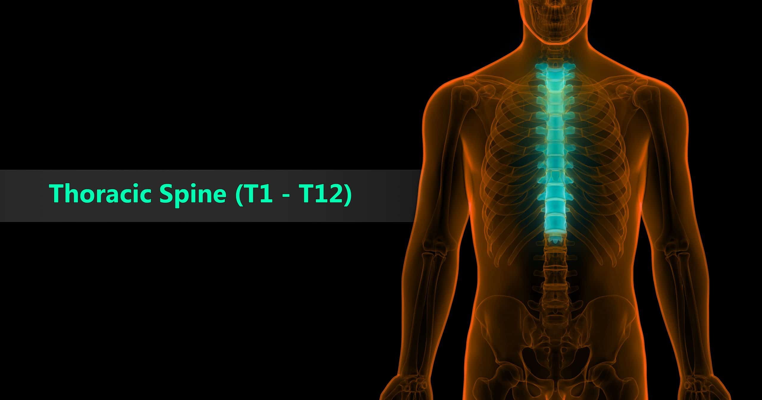Thoracic Spine VA Rating