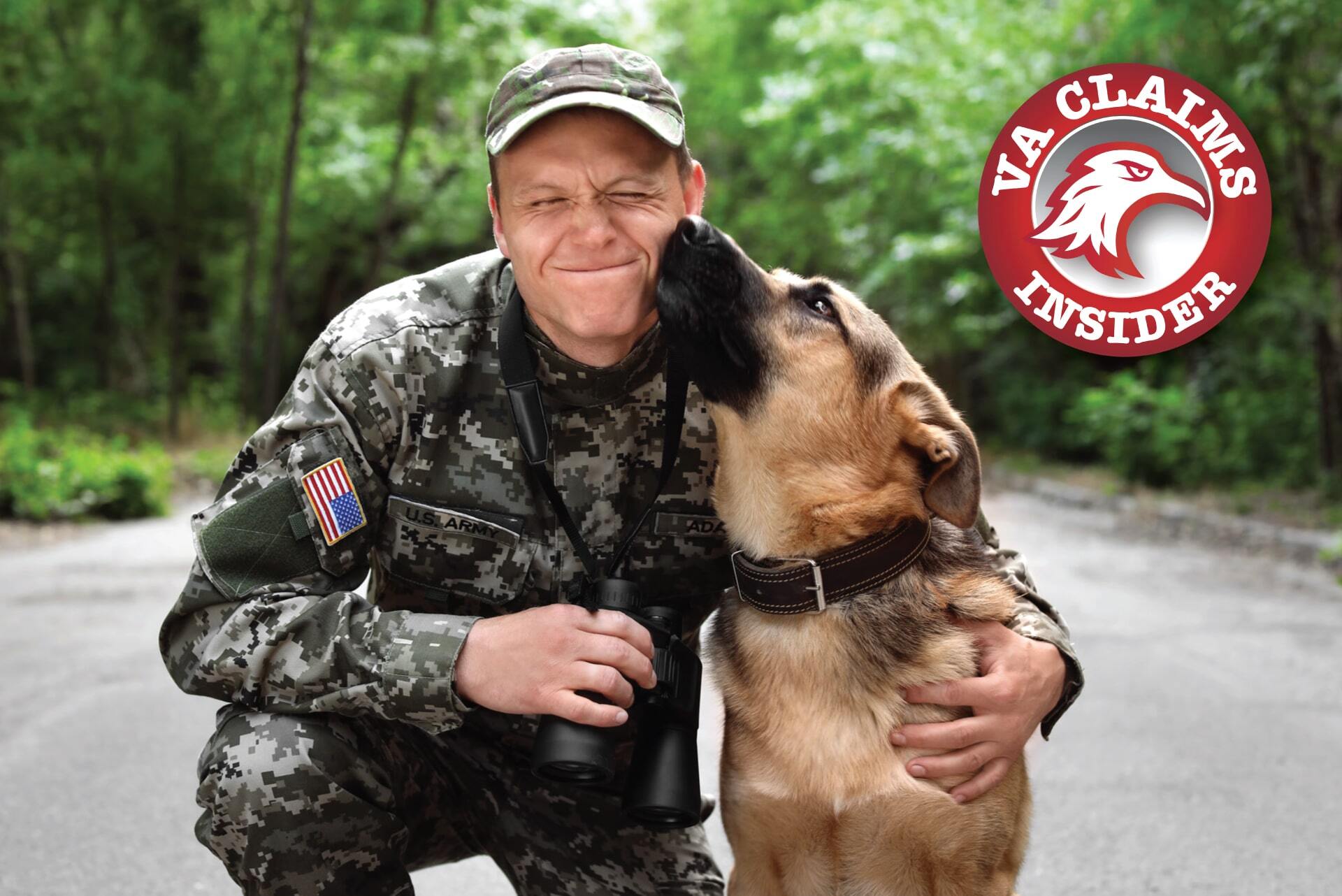 Service Dog Veteran Charities