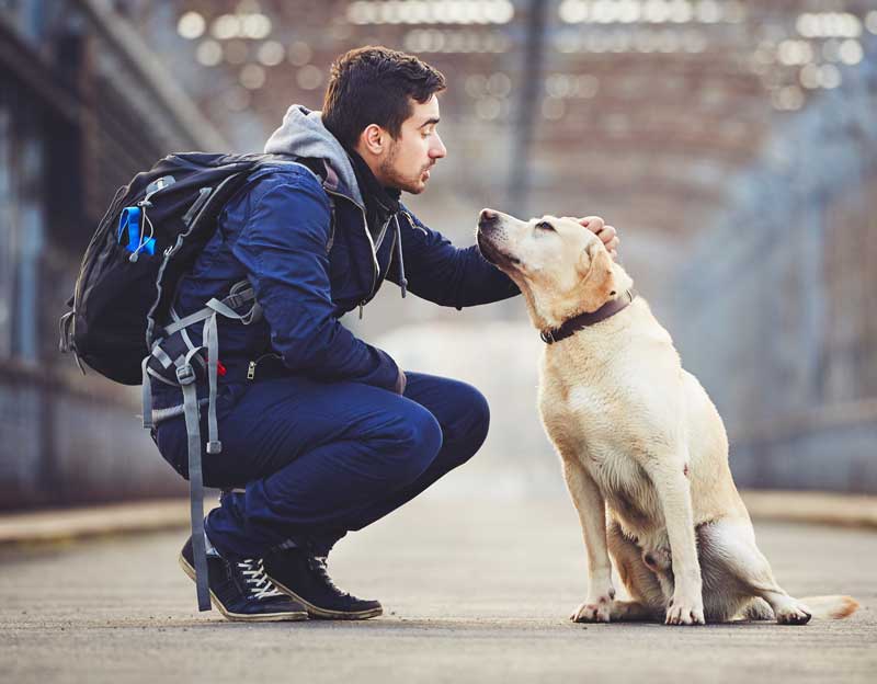 Young man pets dog