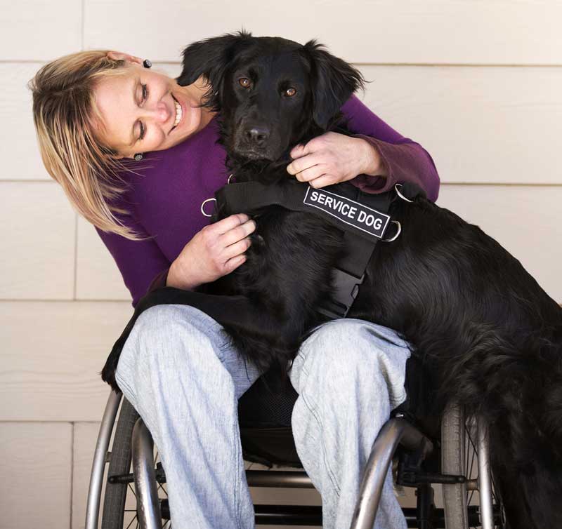 Woman in chair, smiles at dog