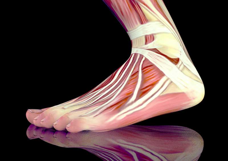 Flat feet va disability issues presented anatomically